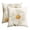Beige, variant on Sm:)e Yellow Daisy Floral Spring Throw Pillow Covers Set of 2,18x18 Inch
