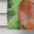 thumbnail image 4 of Carolines Treasures BB9881CHF Drapeau Rouge Dachshund Saint Patricks en Toile - Taille Maison, 4 of 4