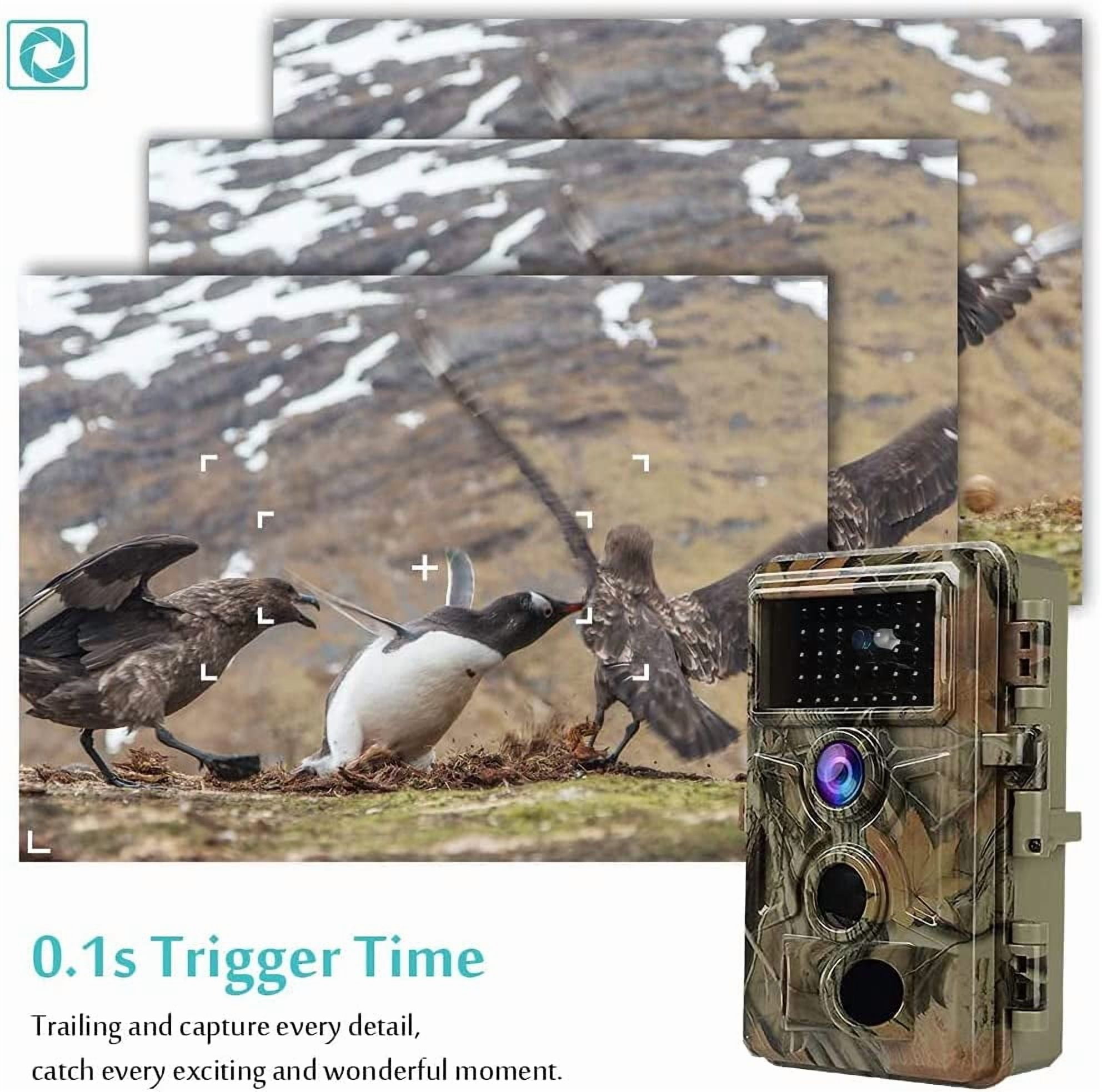2-Pack 64MP Trail Cameras with 1296P HD Video, Night Vision No Glow, 0.1S Motion Activation, IP66 Waterproof - Ideal for Outdoor Wildlife Hunting & Home Security Surveillance-Brown