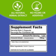 VH Nutrition CISTANCHE | Cistanche Capsules | Hormone Support Supplement for Men* | 700mg per Serving | Standardized Cistanche tubulosa Extract - 60 Capsules