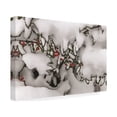 thumbnail image 2 of Kurt Shaffer Photographs 'Snow Holly' Canvas Art, 2 of 4