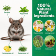 thumbnail image 2 of Vamoo 10-Pack Vamoose of All-Natural Rodent Repellent Pouches, Safe & Long.Lasting Mice & Rat control, No Harsh chemicals, 2 of 7