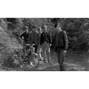 Au Hasard Balthazar (Criterion Collection) (DVD), Criterion Collection, Drama