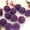H, variant on Ltvvegg 2.36 in Velvet Christmas Balls Ornaments, 12Pcs Flocked Christmas Tree Ball Hanging Ornaments, Burgundy Velvet Ornaments Balls, Large Christmas Balls Shatterproof Baubles Xmas Ball, Purple