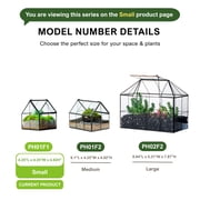 NCYP Mini House-Shaped Glass Terrarium with Lid, 4.25 Small Lidded Plant Terrarium for Moss, Tiny Plants, Low-Growing Sundew Plants and Tabletop Décor (Terrarium Only)