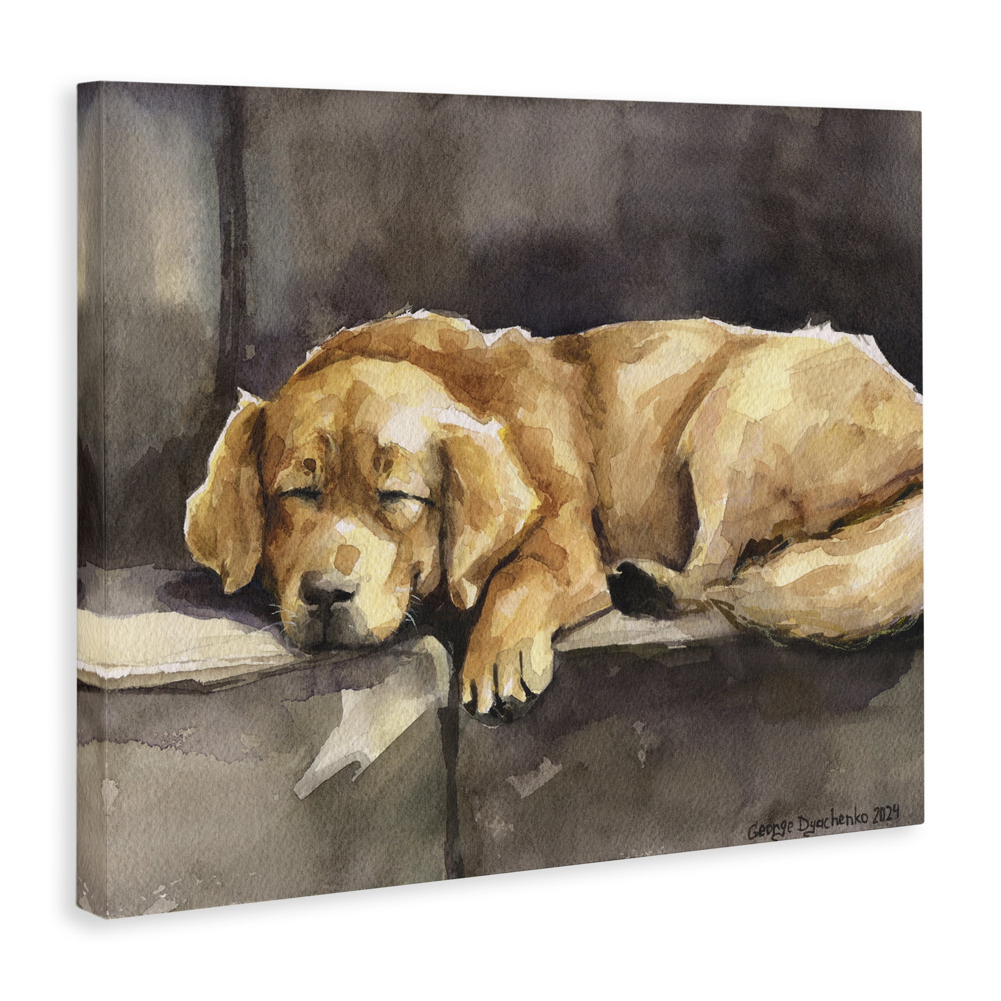Stupell Industries Sleeping Golden Retriever Animals Painting Wrapped Canvas Art Print Wall Art, 48 x 36