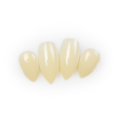 thumbnail image 2 of Adult Werewolf Teeth, 2 of 4