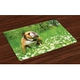 thumbnail image 1 of Ambesonne English Bulldog Place Mats Set of 4, Blossom Daisies, Standard Size, Fern Green Brown White, 1 of 4