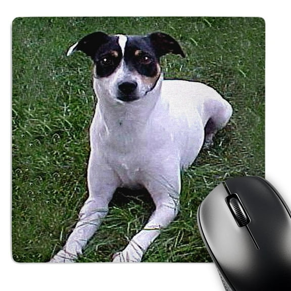 3dRose, Rat Terrier, MousePad