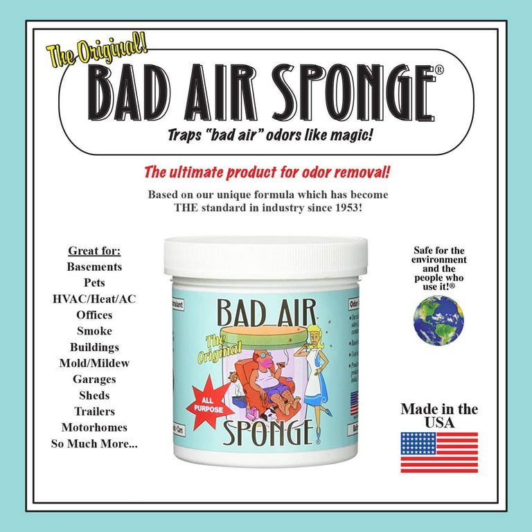 Bad Air Sponge Air Odor Absorbent (Pack of 6) 14 Ounce (Pack of 6) 