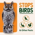 thumbnail image 2 of Dalen Fake Owl Decoy to Scare Birds Away from Gardens, Rooftops, and Patios - Scarecrow Provides Chemical-Free Pest Control - Safe and Humane, 16" Great Horned Owl, 2 of 7