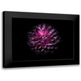 thumbnail image 1 of Carson, Brian 24x18 Black Modern Framed Museum Art Print Titled - Backyard flowers 57, 1 of 5