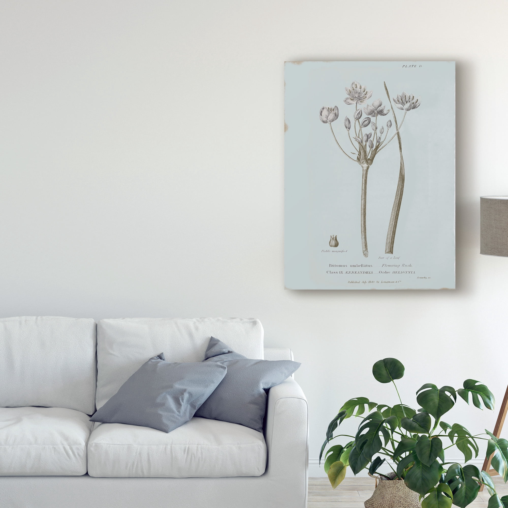Trademark Fine Art 'Conversations on Botany II Blue' Canvas Art by Wild Apple Portfolio