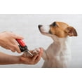 thumbnail image 2 of DFVPRO Heavy Duty, High Quality Dog & Cat Nail Clippers with Safety Guard {Small}, 2 of 7