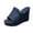 Blue, variant on RUIYANQI Women's Denim Wedge Slides - Peep Toe Platform Sandals, Trendy Summer Casual Footwear, Comfortable High - Heel Mules, Stylish Beach Party Shoes Black Women Sandal