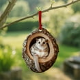 thumbnail image 4 of Yhmxh Animal Christmas Ornaments 2026, 2D Acrylic Forest Animal Christmas Ornaments, Squirrels Hanging Ornaments for Christmas Tree, Personalized Christmas Ornament Gift Ideas, 4 of 6