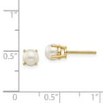 thumbnail image 2 of Primal Gold 14 Karat Yellow Gold 4.5mm Round June Freshwater Cultured Pearl Post Earrings, 2 of 5