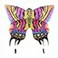 thumbnail image 3 of 3D Nylon Butterfly Kite with 60" Wingspan (5 ft) by AmaZing Kites, 3 of 4