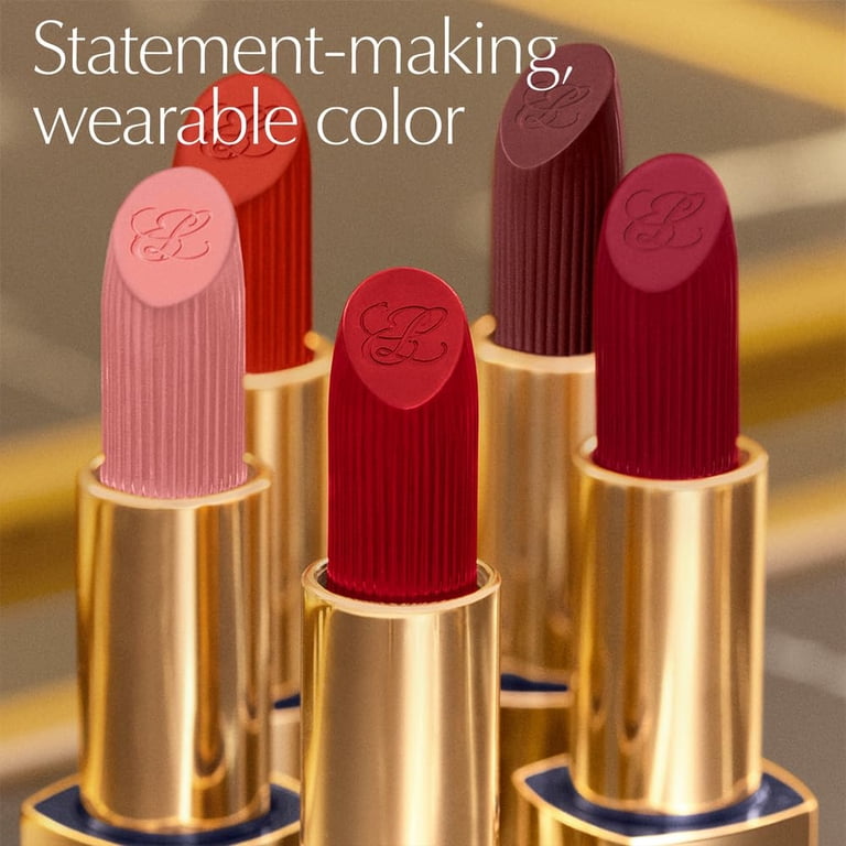 Estée Lauder Pure Color Long-Lasting Matte Lipstick 690 Don't Stop