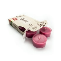 Apples & Cinnamon Tealight Candles - 6 Dark Red Premium Tea Lights - Natural Oils - Shortie's Candle Company