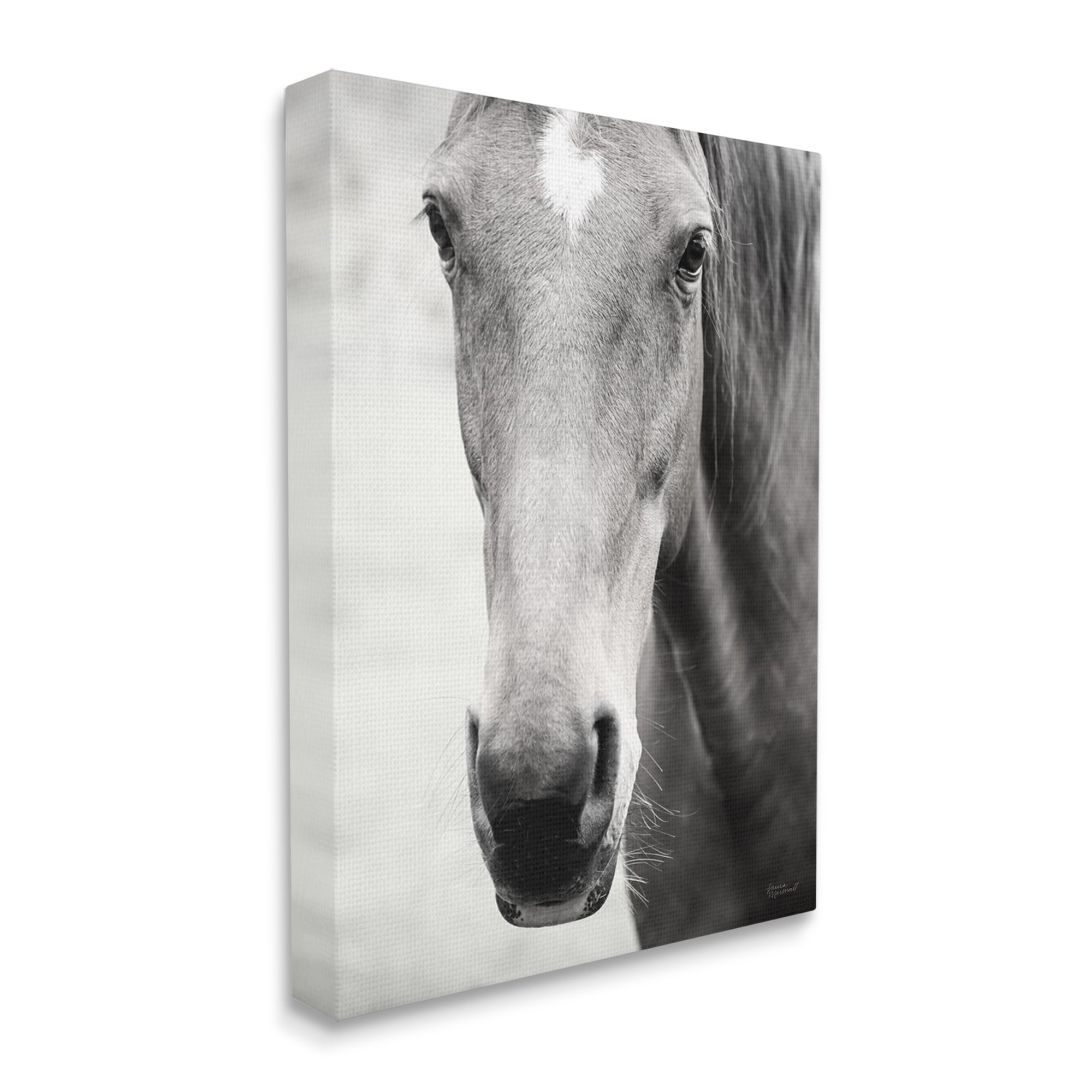 Stupell Industries Moke Lake Horse Photography Animals & Insects Photography Gallery Wrapped Canvas Print Wall Art, 16 x 20