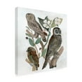 thumbnail image 2 of Stellar Design Studio 'Traditional Owls II' Canvas Art, 2 of 3