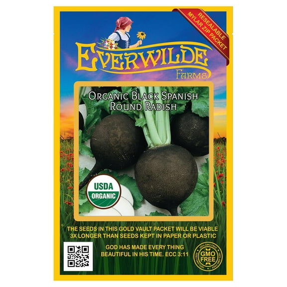 Everwilde Farms - 250 Organic Black Spanish Round Radish Seeds - Gold Vault Jumbo Bulk Seed Packet