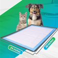 thumbnail image 3 of Bandeja Portadora de Tapetes Higiénicos para Perros Skywin 61x91 cm de Silicona 2 Piezas, 3 of 7