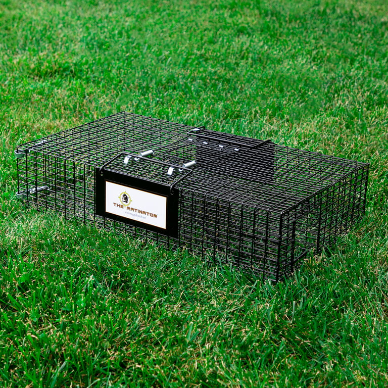 Rugged Ranch Mousinator Live Mouse Rodent Small Animal Metal Wire Trap Pest  Control Cage, Black - Duncans Family Farm Store