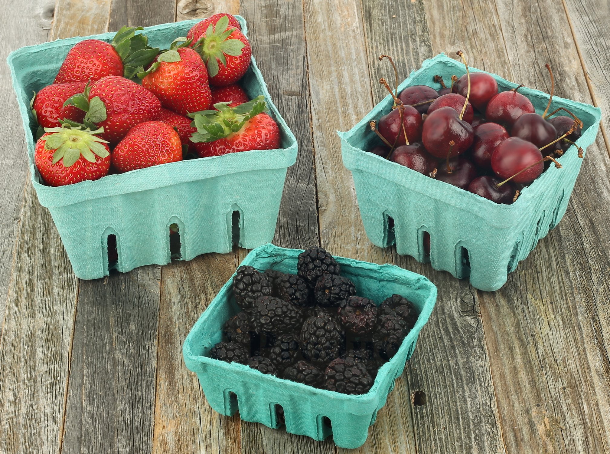 15 Pieces Green Molded Pulp Fiber Berry/Produce 1/2 Pint Vented Basket/Container by MT Products