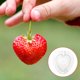 thumbnail image 5 of 5 moldes para cultivar frutas y verduras con diseño de corazón., 5 of 6