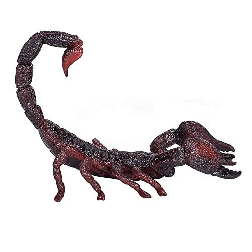 Emperor Scorpion Plush cute and realistic 