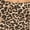 Animal Mocha, variant on Women's Slim Fit Comfy Stretch Elastic Waistband Biker Shorts