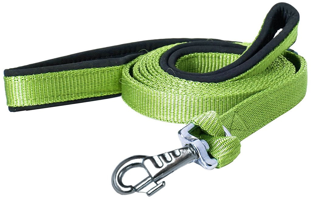 Padded Double Handle Dog Leash w Warranted Snap Design 3/4" x 6' Fern