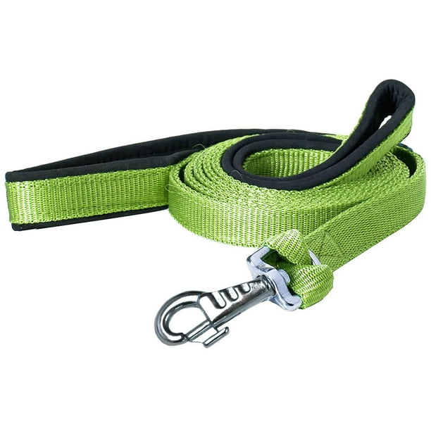 Padded Double Handle Dog Leash w Warranted Snap Design 3/4" x 6' Fern