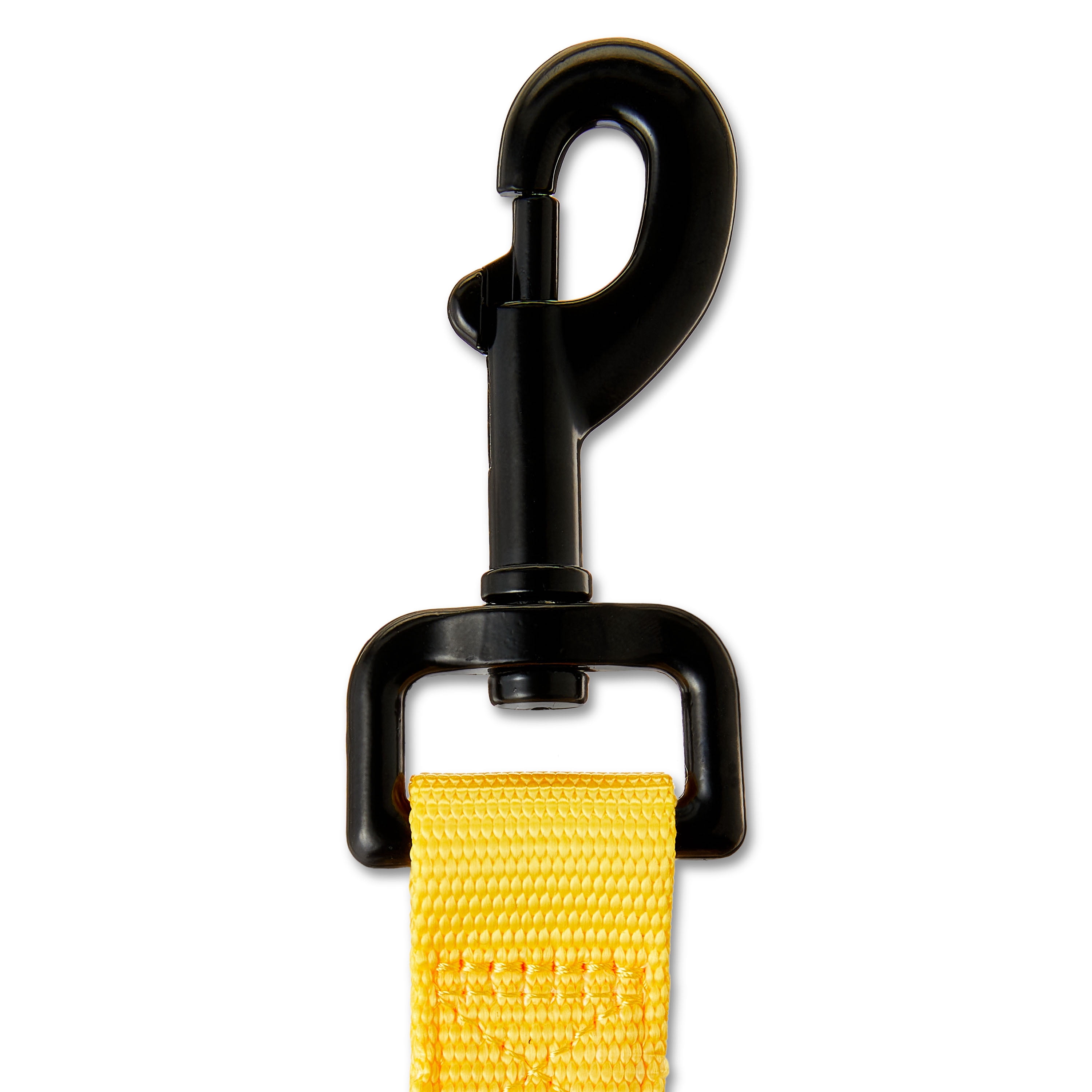 Vibrant Life 4' Polyester Standard Dog Leash, Yellow