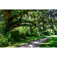 thumbnail image 3 of Hausenflock, Alan 24x17 Black Modern Framed Museum Art Print Titled - Plantation Walk, 3 of 5