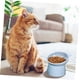 thumbnail image 4 of Alimentador elevado de cerámica Cat Bowl Holibanna, 3 unidades, 4 of 9