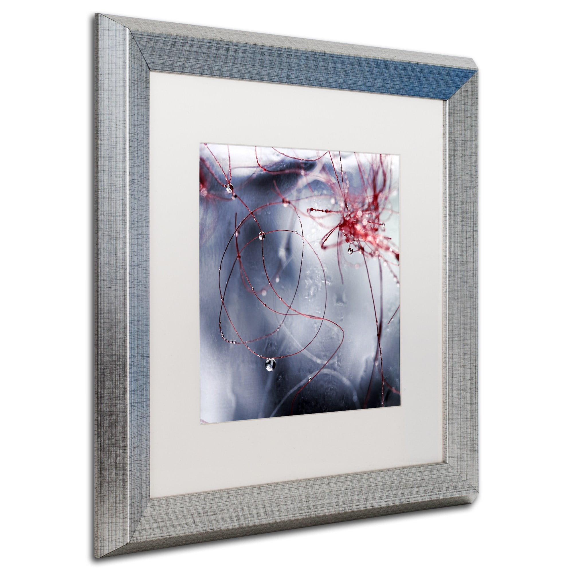Trademark Fine Art "One Day I'll Find You" Canvas Art by Beata Czyzowska Young, White Matte, Silver Frame