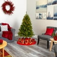 thumbnail image 4 of Nearly Natural 5ft. Sierra Spruce Natural Look Artificial Christmas Tree with 200 Clear LED Lights, 4 of 7