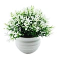 thumbnail image 2 of SPRING PARK Artificial Mini Potted Plants Fake Plastic Greenery in Pots Small Faux Topiary Grass Shrubs Houseplants for Centerpiece Desk Room House Office Decor Decoration, 2 of 3