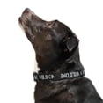 thumbnail image 2 of Wild One Quick-Release Adjustable Dog Collar, Black Reflective, Large/X-Large, 2 of 7