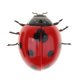 thumbnail image 4 of Control Remoto Infrarrojo Sunnimix Juguete mariquita RC, 4 of 8
