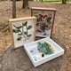 thumbnail image 4 of Marco de fotos de flores secas de madera, soporte de exhibición de flores secas, marco de fotos flotante decorativo, caja de exhibición de bricolaje, adecuado para flores secas, especímenes,, 4 of 6