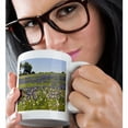 thumbnail image 2 of 3drose, Horse in Bluebonnet, Evening Primrose, Texas - Us44 Dfr0237 - David R. Frazier, 11oz Mug, 2 of 6