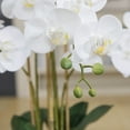 thumbnail image 2 of 30" White Orchid Arrangement in a Large Tan Ceramic Planter | Real Touch White Moth Phalaenopsis Orchids by Fiori Sempre, 2 of 6