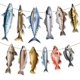 thumbnail image 1 of Decoraciones de cumpleaños con temática de pesca, artículos para fiestas temáticas de pesca, pancarta colgante con temática de pesca, pancarta para fiestas temáticas de pesca, 1 of 4