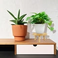 thumbnail image 3 of CHUANK Wooden Stool Plant Stand  13cm Round Flower Pot Rack for Indoor/Outdoor Decor, 3 of 6