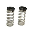 thumbnail image 2 of Belltech 23452 Lowering Springs, Powdercoated Silver, Front, 2 of 3