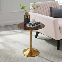 Lippa 20" Round Side Table-EEI-5684